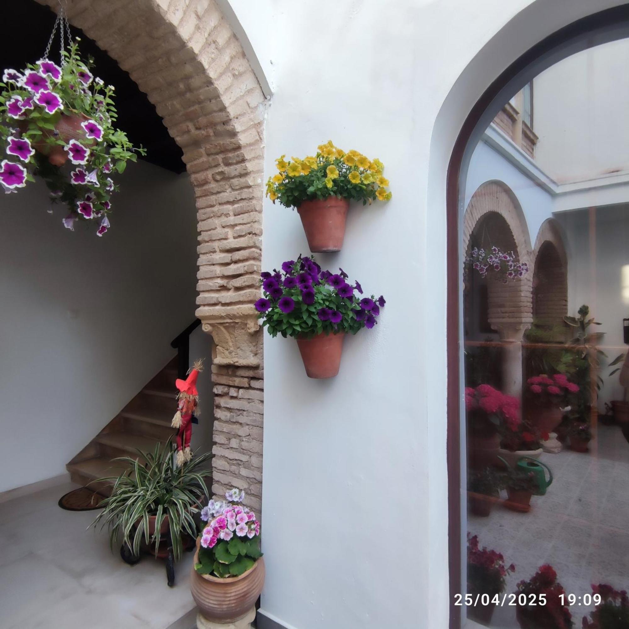 El Patio De Regina Apartment Cordoba Exterior photo